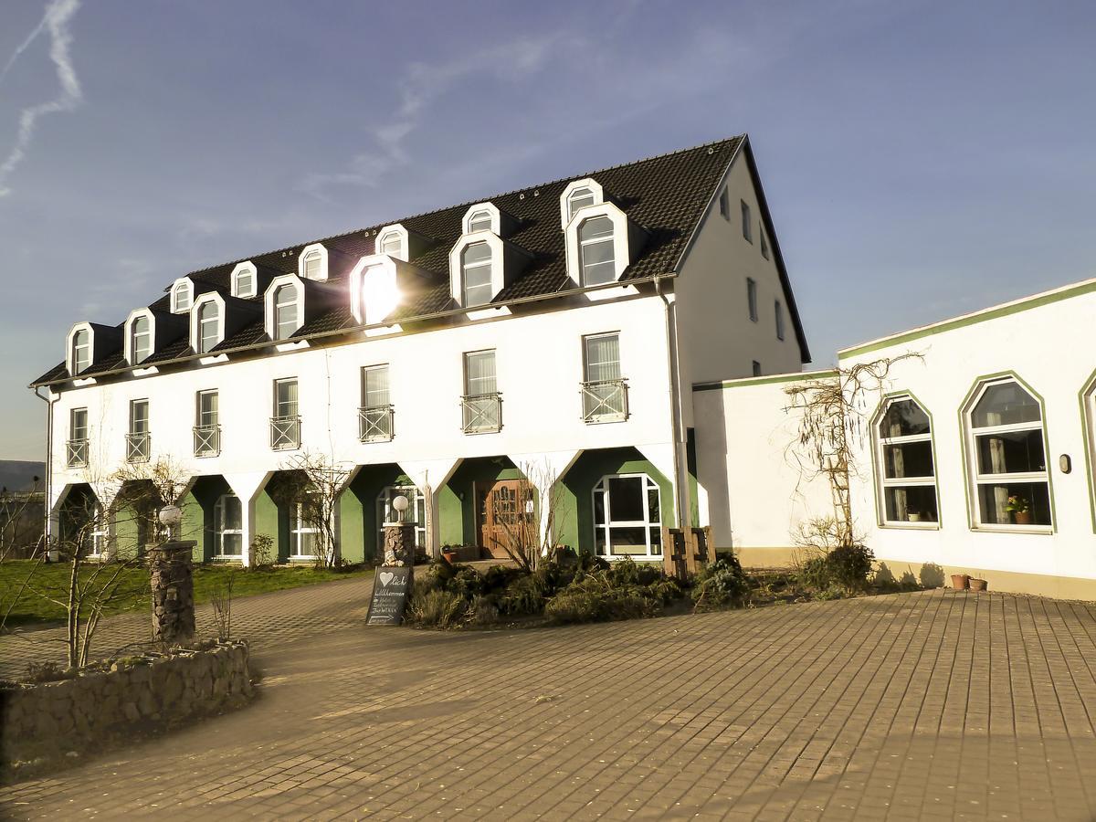 Hotel Zur Werra Schmalkalden Eksteriør billede